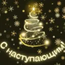 КГБОУ ШИ № 4