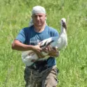 🐦 Птицы Амура 🐦