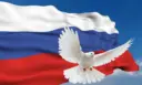 Северодвинская гимназия №14