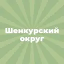 Шенкурский муниципальный округ