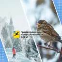 Администрация Грайворонского округа