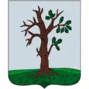 Стародубский муниципальный округ