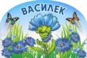 МБДОУ Детский сад №13 «Василек»