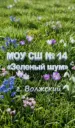 МОУ СШ № 14 «Зеленый шум»