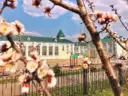 МКОУ «Лозовская СОШ»