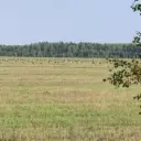 Департамент природных ресурсов и экологии Ивановской области