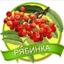 МБДОУ детский сад №61 «Рябинка»