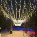 МБУК «Городской парк имени А.В.Суворова»