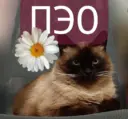 ОГКУ «Костромской областной ПЭО»