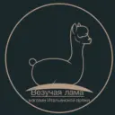 Везучая лама | Итальянская пряжа