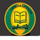 Гимназия № 16 г.о. Мытищи