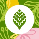 Одинцовский парк культуры, спорта и отдыха