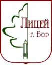 МАОУ лицей г. Бор