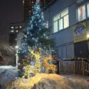 МБОУ Прогимназия "Зимородок"