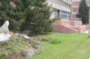 БУЗОО «ГП 13»