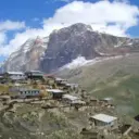 Курушская СОШ имени Н.П. Самурского