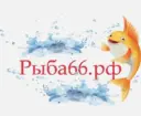 Рыба Екатеринбург Рыба66