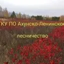 ГКУ ПО «Ахунско-Ленинское лесничество»