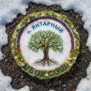 Школьная Республика МБОУ СОШ п. Янтарный