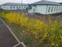 МБОУ Верхнеталовская СОШ