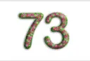 Детский сад №73