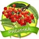 МДОУ д/с "Рябинка" г. Балашова