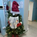 МАДОУ «Детский сад № 20»