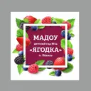Муниципальное автономное дошкольное образовательное учреждение детский сад комбинированного вида № 14 "Ягодка" Кировградского муниципального округа