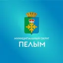 Ревизионная комиссия МО Пелым
