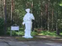 МАУ  «ДОЗЛ им. В. Дубинина»