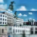 МАОУ гимназия №176 г. Екатеринбург