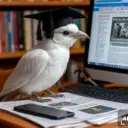 Тверской лицей. Новости