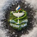 Томский базовый медицинский колледж⚕️