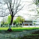 МКОУ "СОШ № 25"