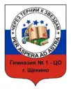 МБОУ "Гимназия 1-ЦО" г.Щекино