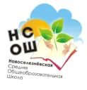 МАОУ Новоселезневская СОШ