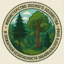 Минлес Забайкалья