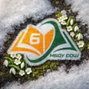 МБОУ "СОШ № 6"