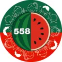 Информационный канал ГБОУ школы № 558