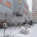 ГБДОУ детский сад № 97 Красногвардейского района