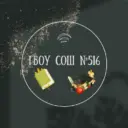 ГБОУ СОШ 516 Невского района Санкт-Петербурга