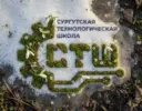 МБОУ "СТШ"