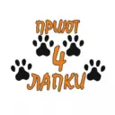 Донецкий приют «4 ЛАПКИ»