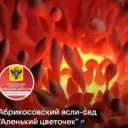 ГБДОУ ХО «Абрикосовкий детский сад «Аленький цветочек» Алешкинского района»