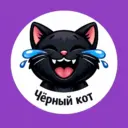 Черный кот 😹 Юмор и приколы