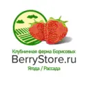 Клубничная ферма Борисовых