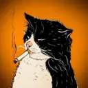 шерстяные проказники