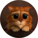 Милые котики😻