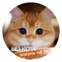 Без кота жизнь не та
