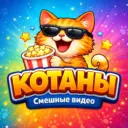 Котаны | Смешные коты